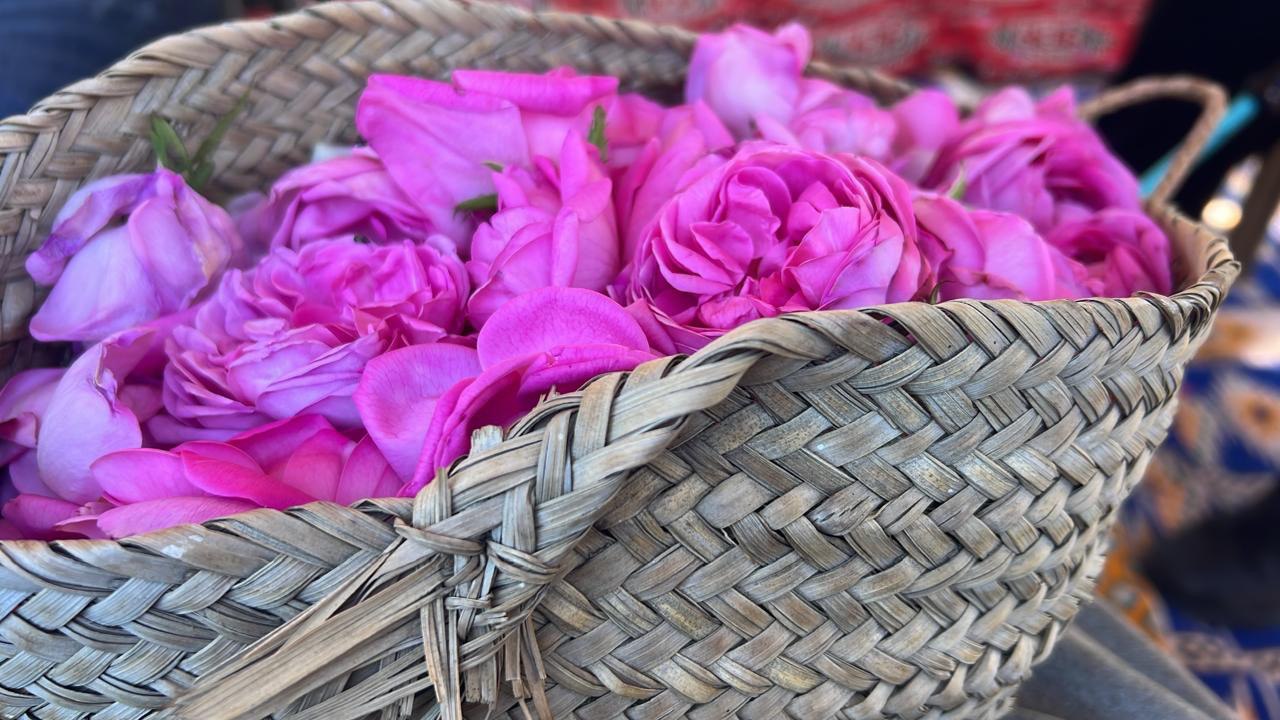 ورد المدينة